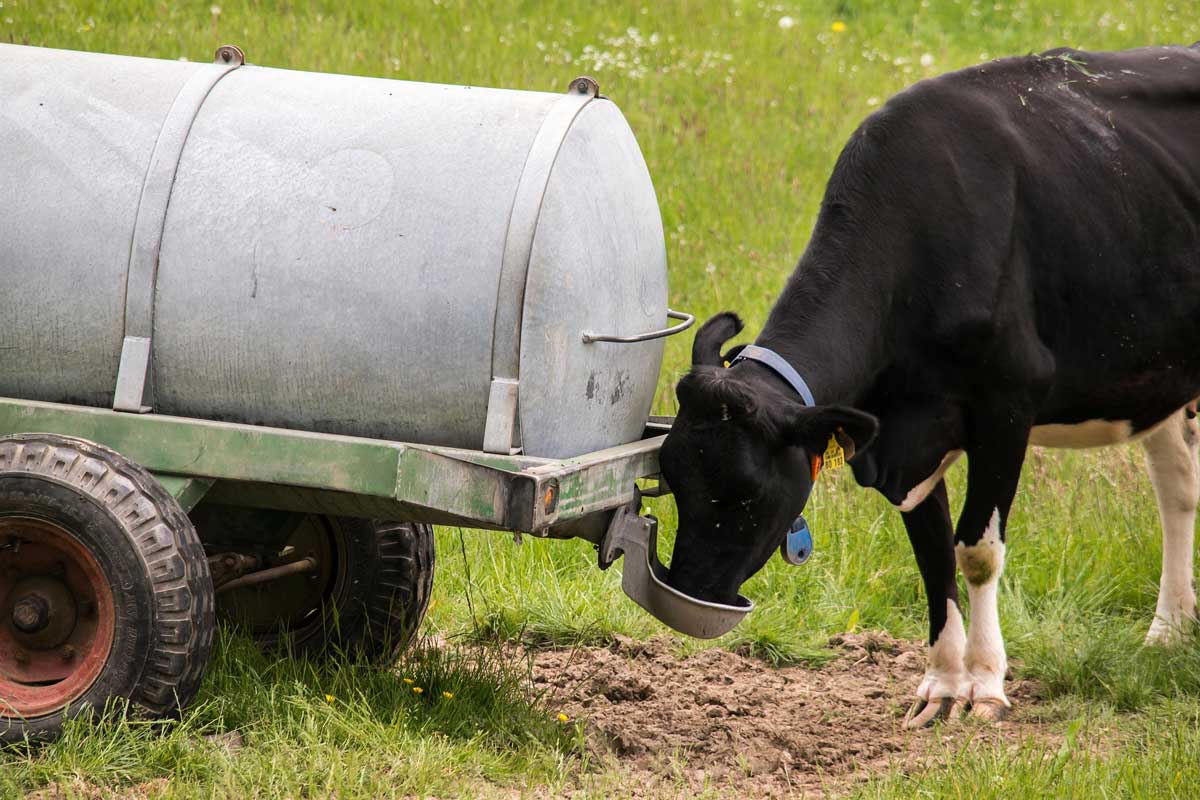 Water Hauling is Helpful to Rural Areas