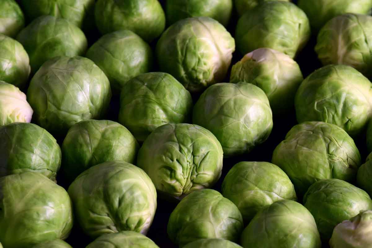 green brussels sprouts
