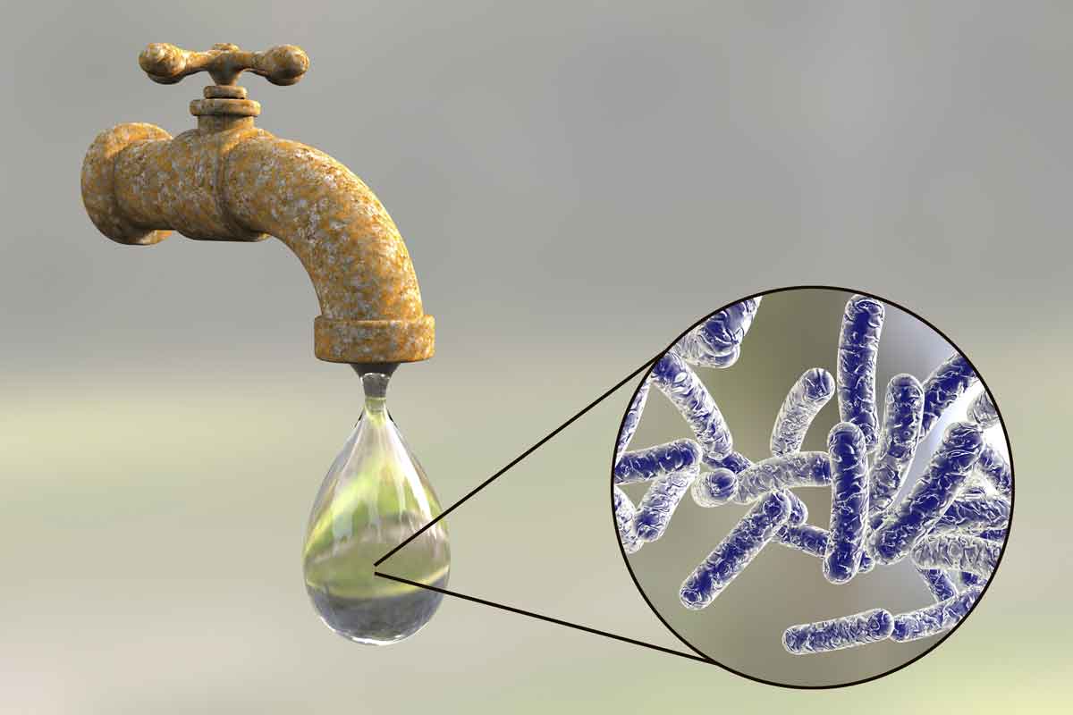 bacteria present in tap water