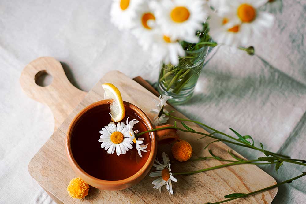 chamomile tea flowers for hangover