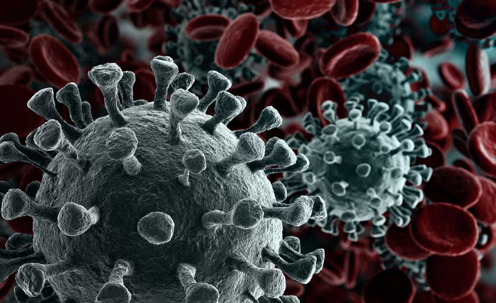Covid-19 Virus