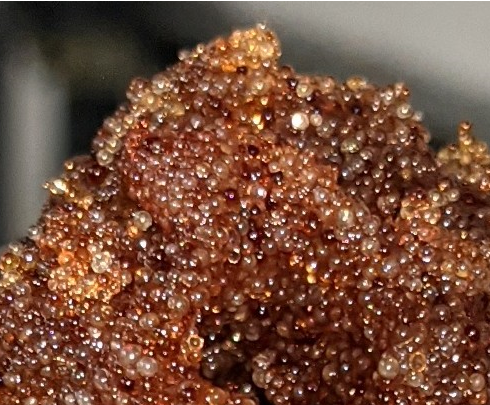 deionize resin beads